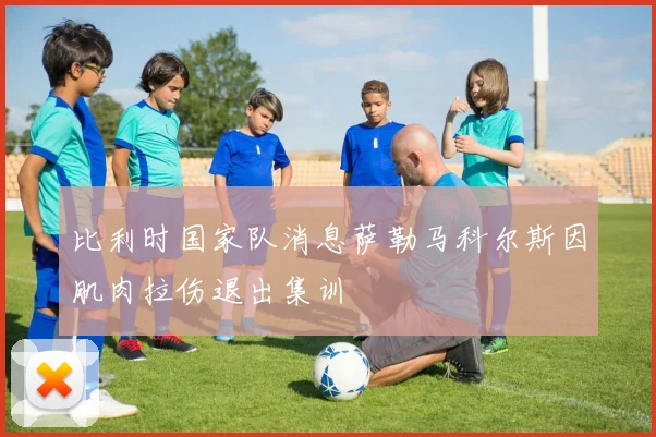 比利时国家队消息萨勒马科尔斯因肌肉拉伤退出集训